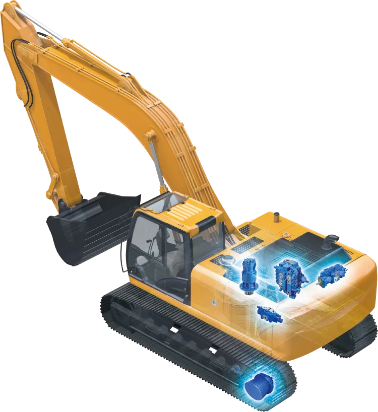 5 major motion functions